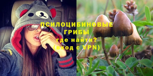 эйфоретик Абаза