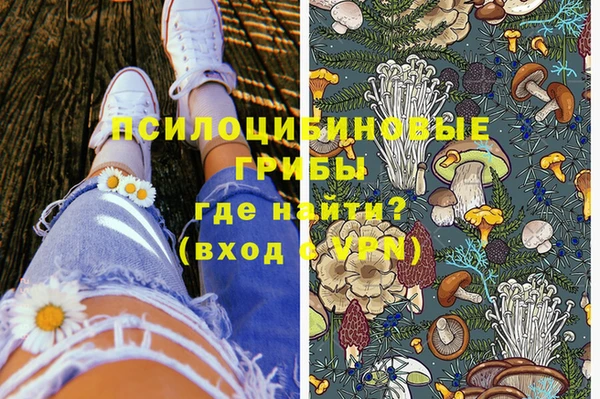 эйфоретик Абаза