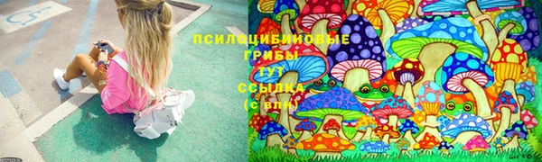 ГАЛЛЮЦИНОГЕННЫЕ ГРИБЫ Абинск