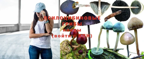 PSILOCYBIN Алексин